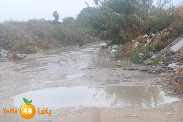 ramla jan 7ekal3 (2).JPG